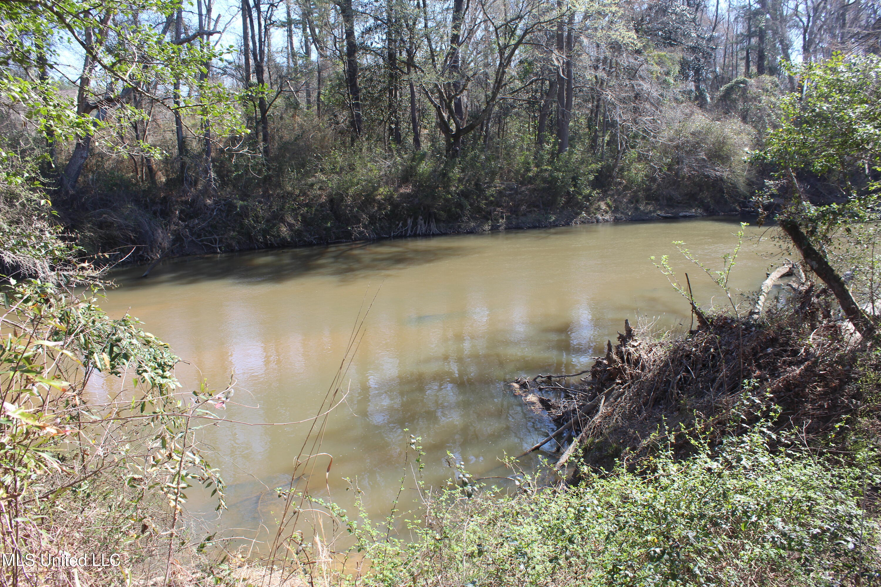 2194 Brandi Road Summit, MS 39666 - Photo 13 of 26 2194 Brandi Rd Summit (11)