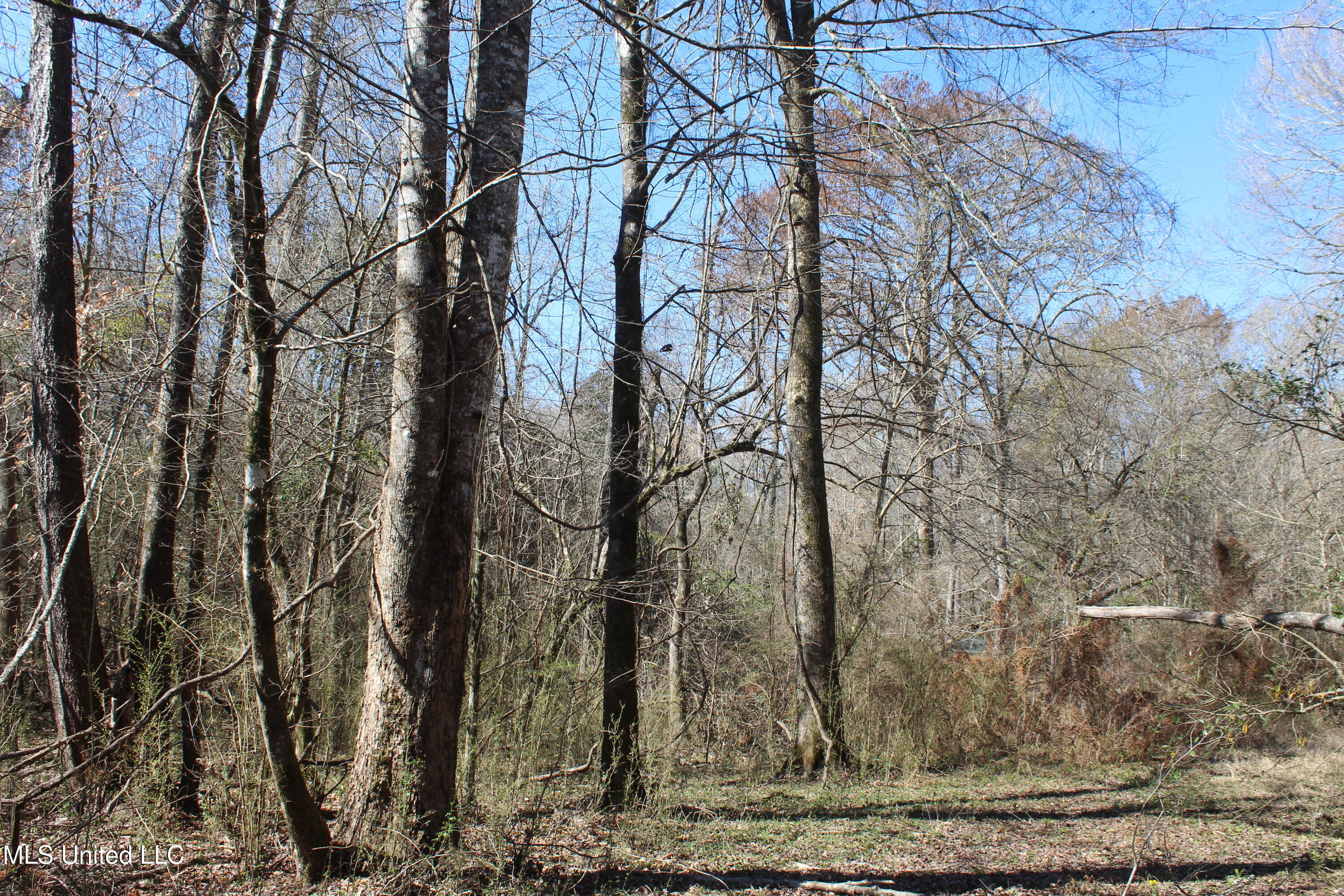 2194 Brandi Road Summit, MS 39666 - Photo 19 of 26 2194 Brandi Rd Summit (18)