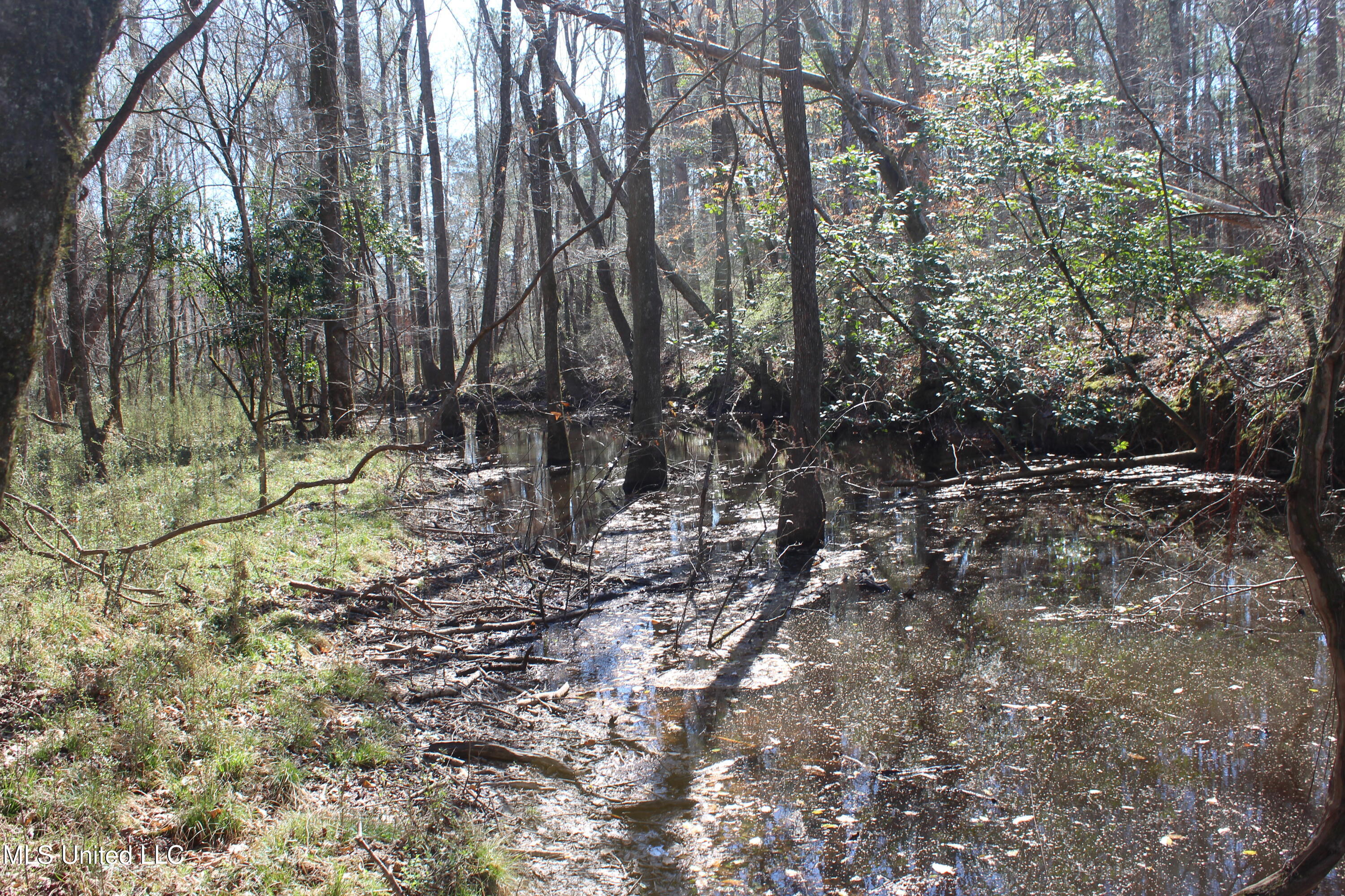 2194 Brandi Road Summit, MS 39666 - Photo 20 of 26 2194 Brandi Rd Summit (19)