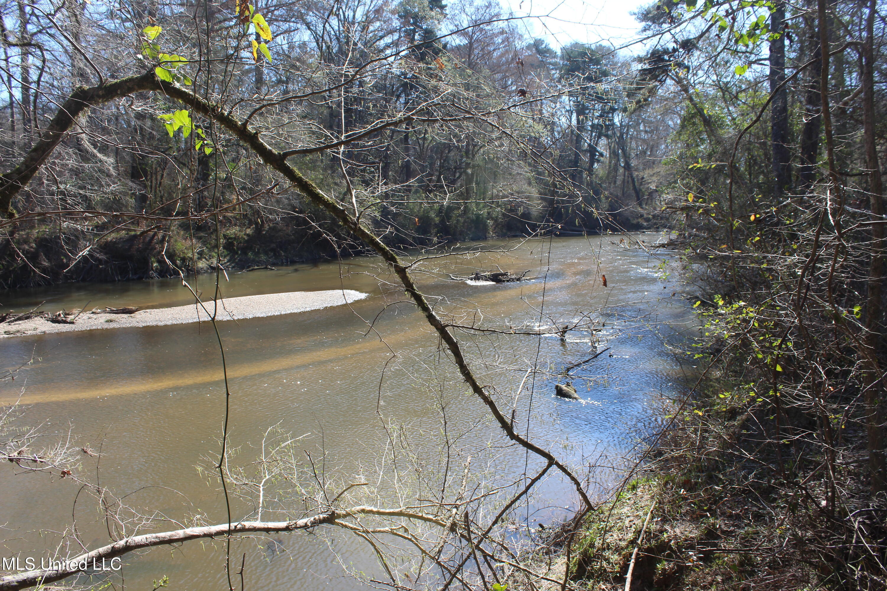 2194 Brandi Road Summit, MS 39666 - Photo 2 of 26 Bogue Chitto River