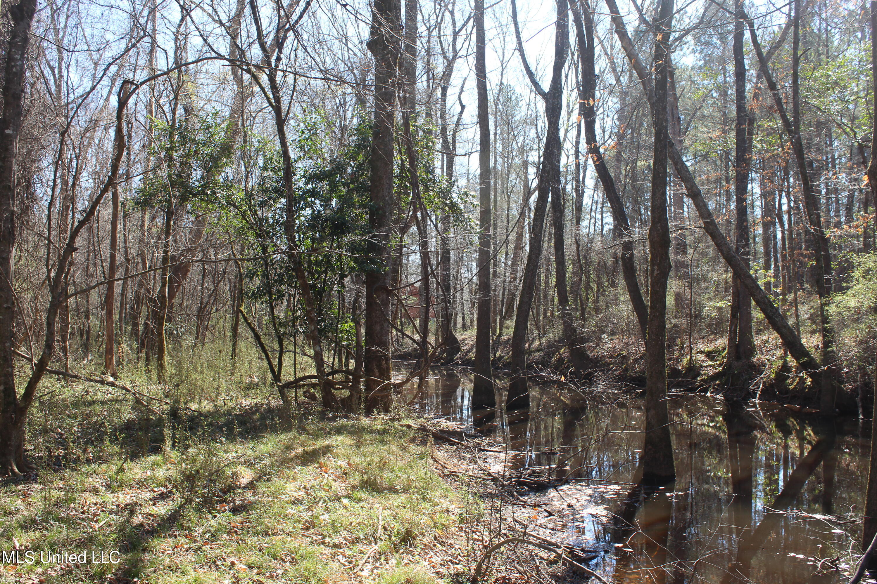 2194 Brandi Road Summit, MS 39666 - Photo 21 of 26 2194 Brandi Rd Summit (20)