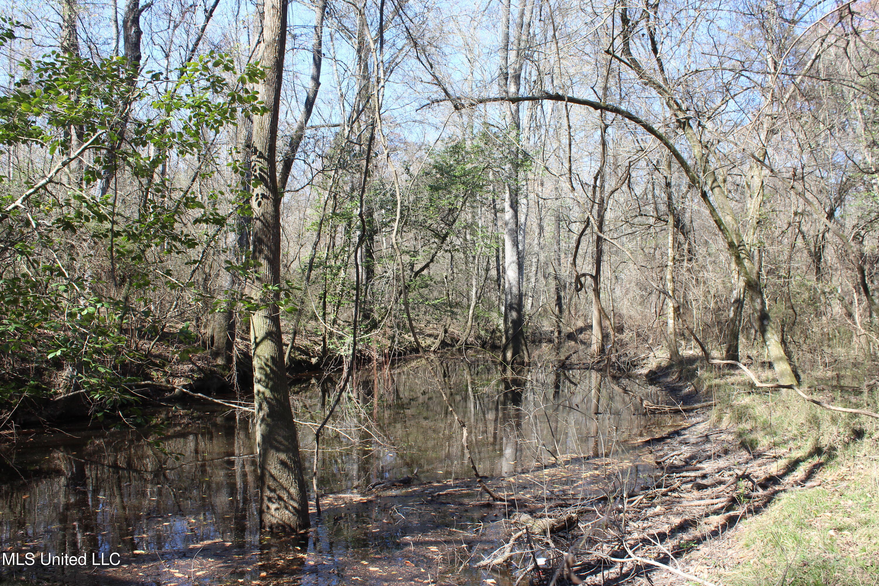 2194 Brandi Road Summit, MS 39666 - Photo 22 of 26 2194 Brandi Rd Summit (21)