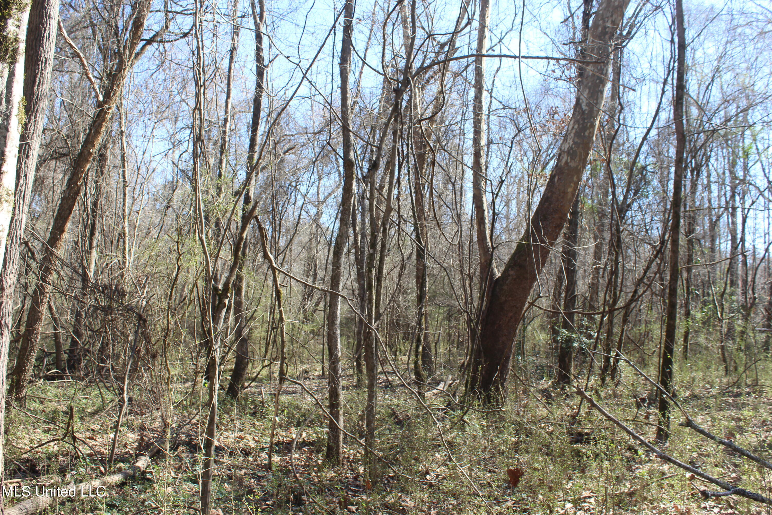 2194 Brandi Road Summit, MS 39666 - Photo 23 of 26 2194 Brandi Rd Summit (22)