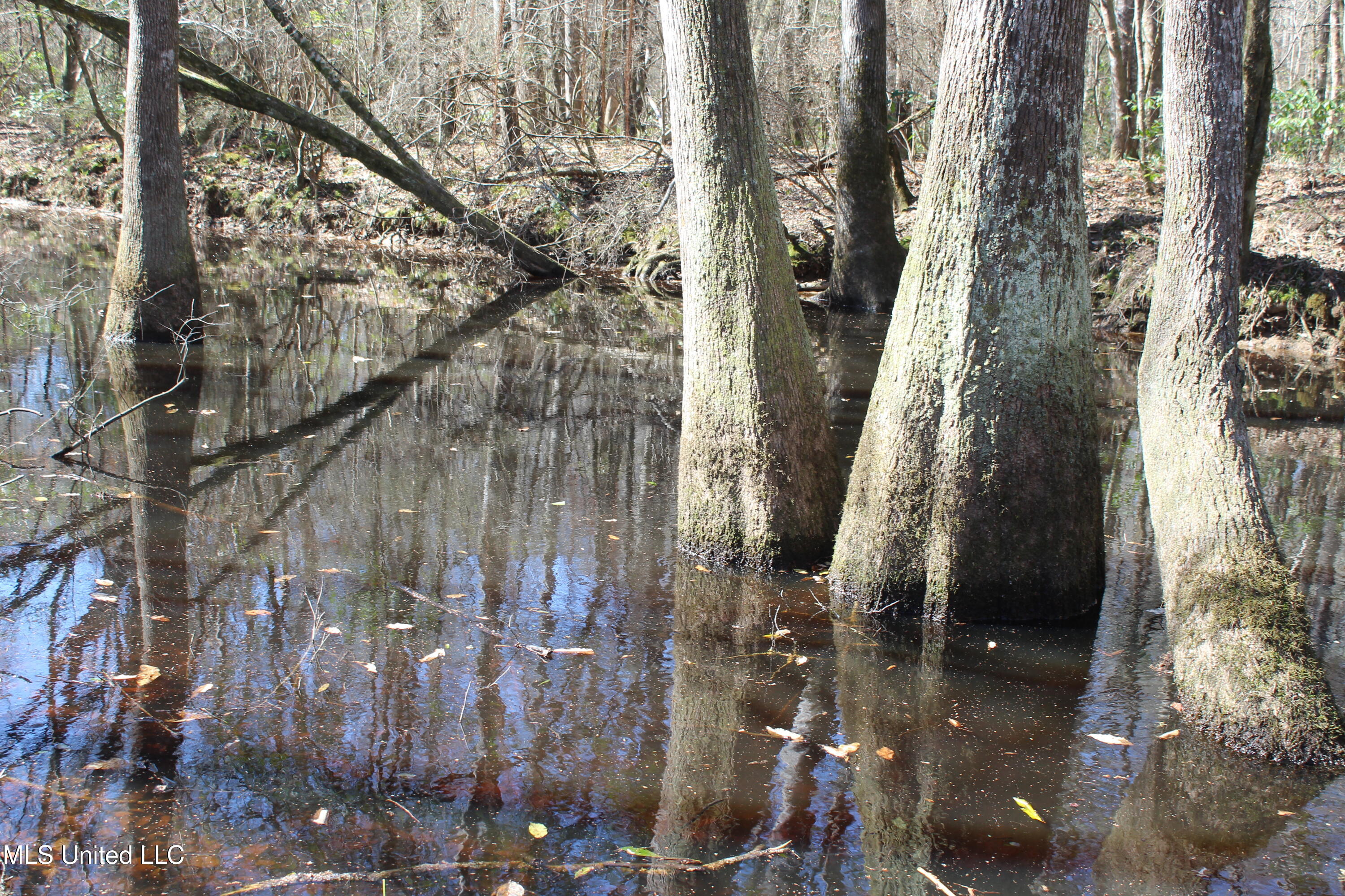 2194 Brandi Road Summit, MS 39666 - Photo 25 of 26 2194 Brandi Rd Summit (26)