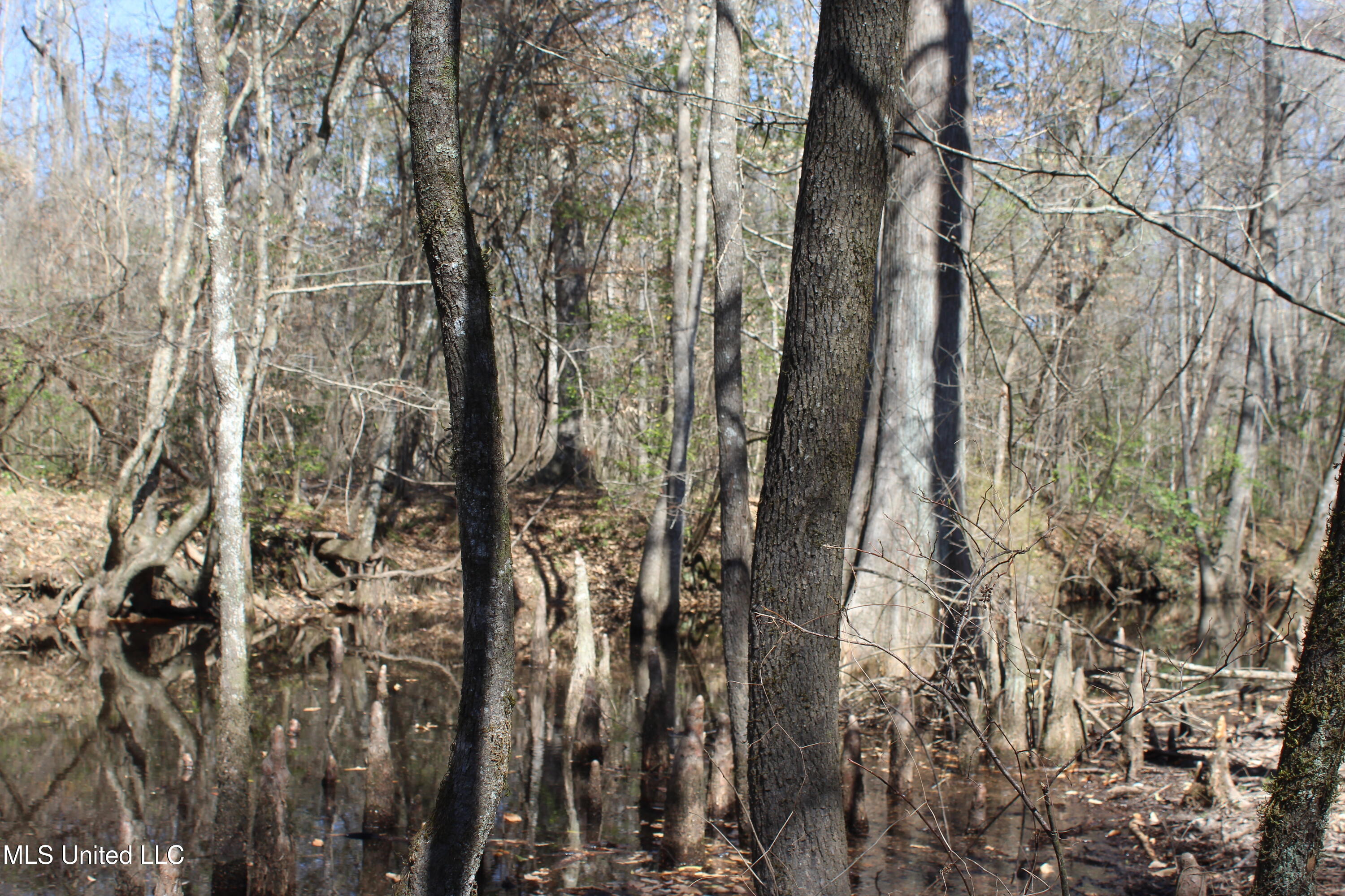 2194 Brandi Road Summit, MS 39666 - Photo 26 of 26 2194 Brandi Rd Summit (27)