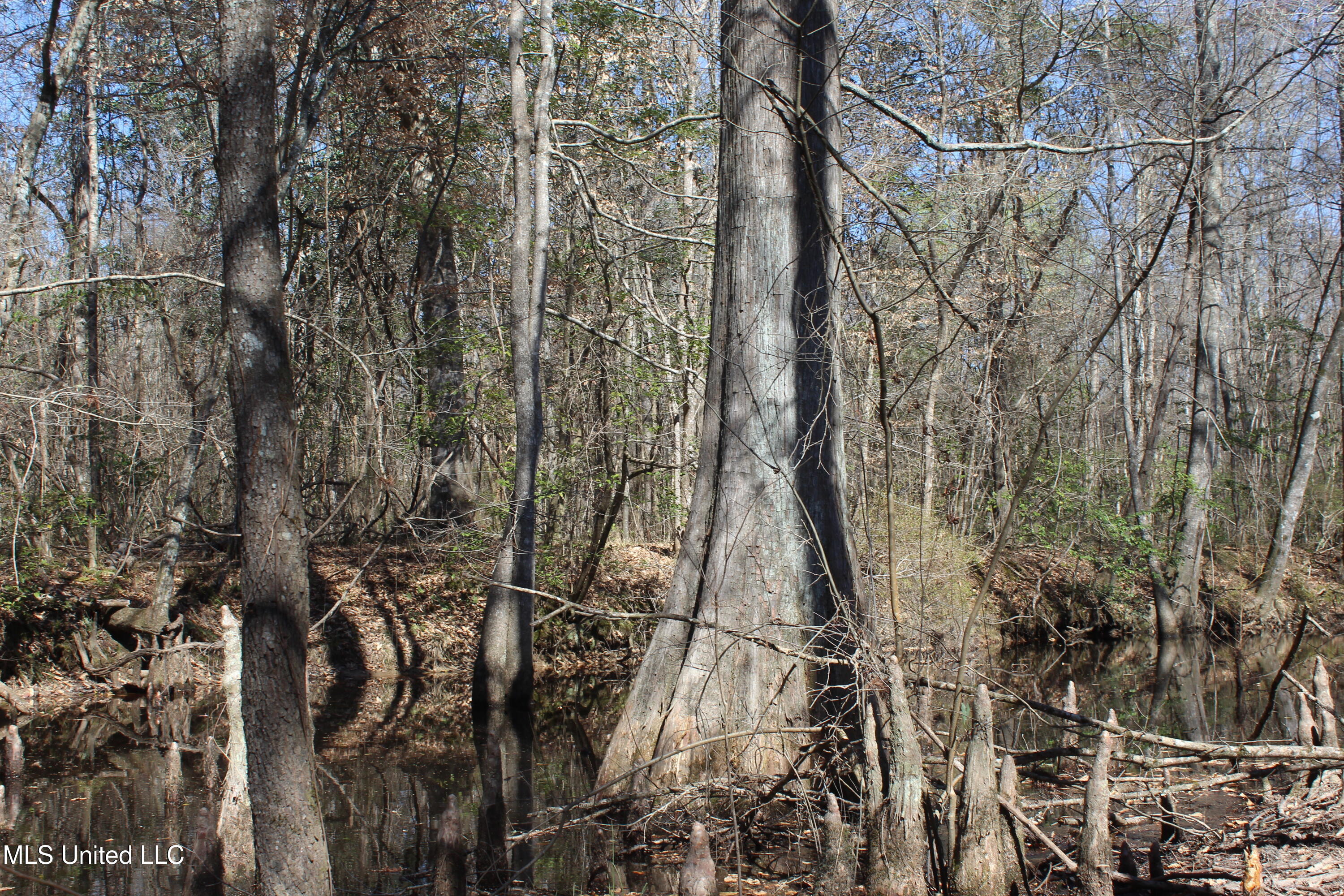 2194 Brandi Road Summit, MS 39666 - Photo 3 of 26 2194 Brandi Rd Summit (1)