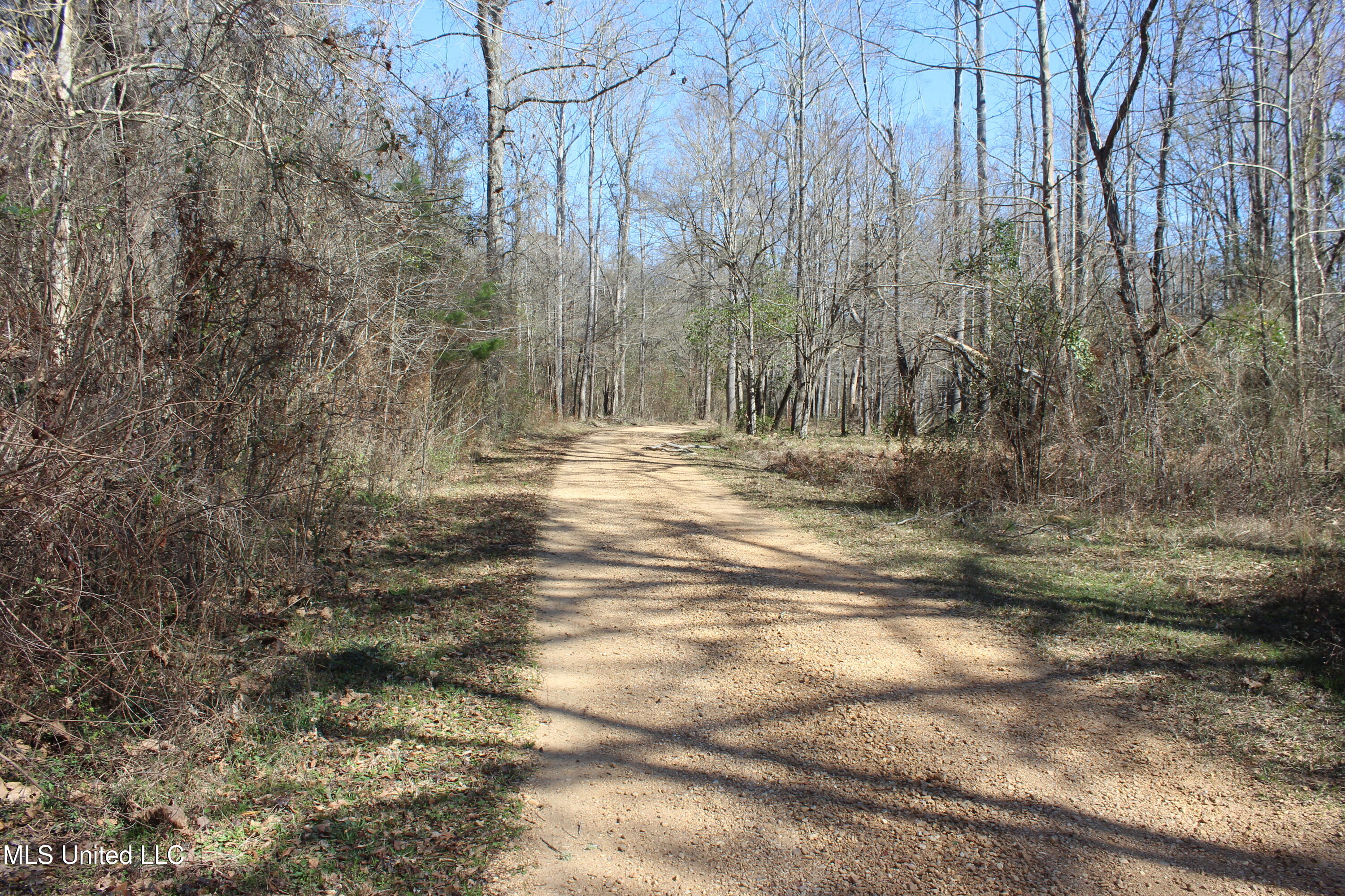 2194 Brandi Road Summit, MS 39666 - Photo 4 of 26 2194 Brandi Rd Summit (2)