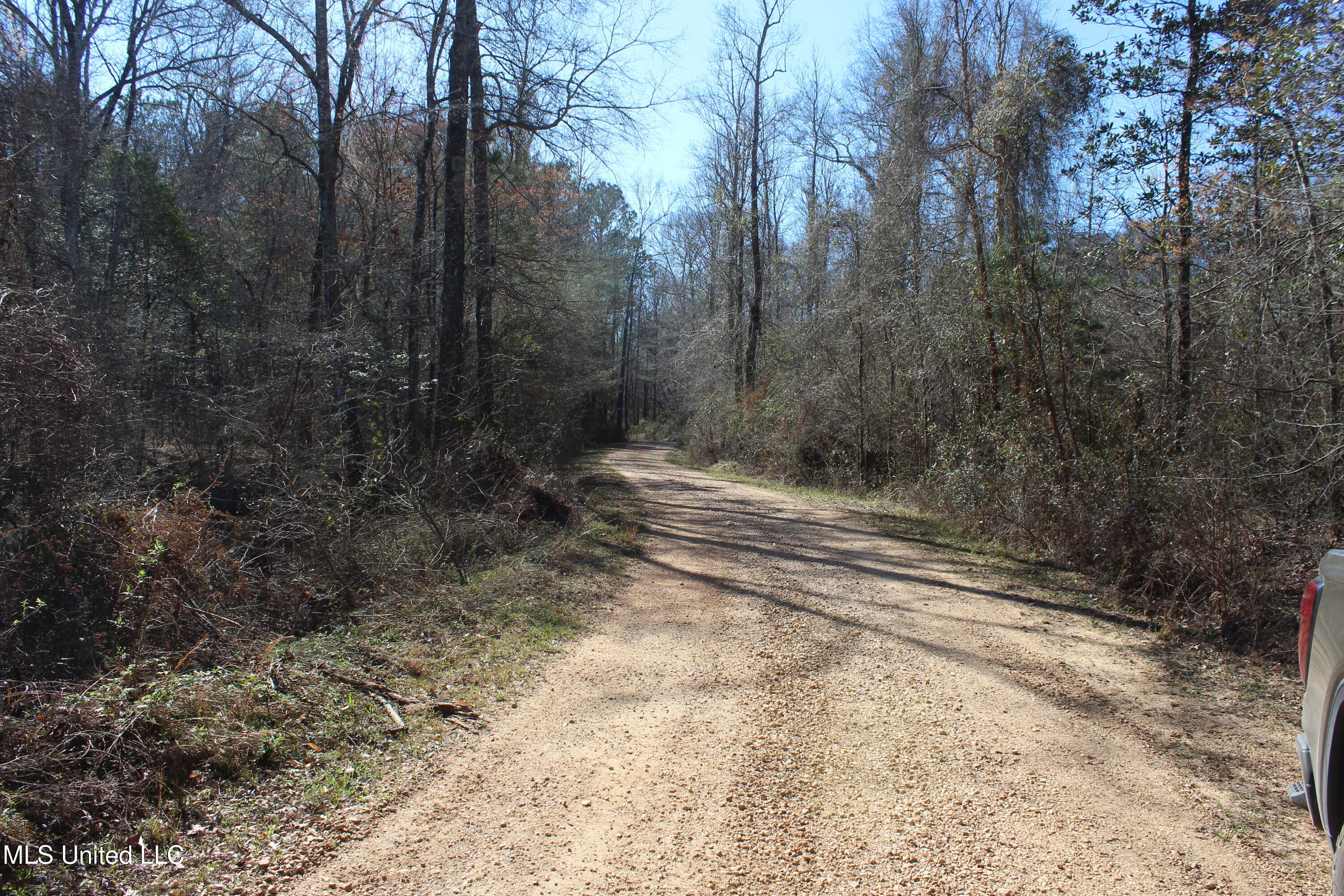 2194 Brandi Road Summit, MS 39666 - Photo 5 of 26 2194 Brandi Rd Summit (3)