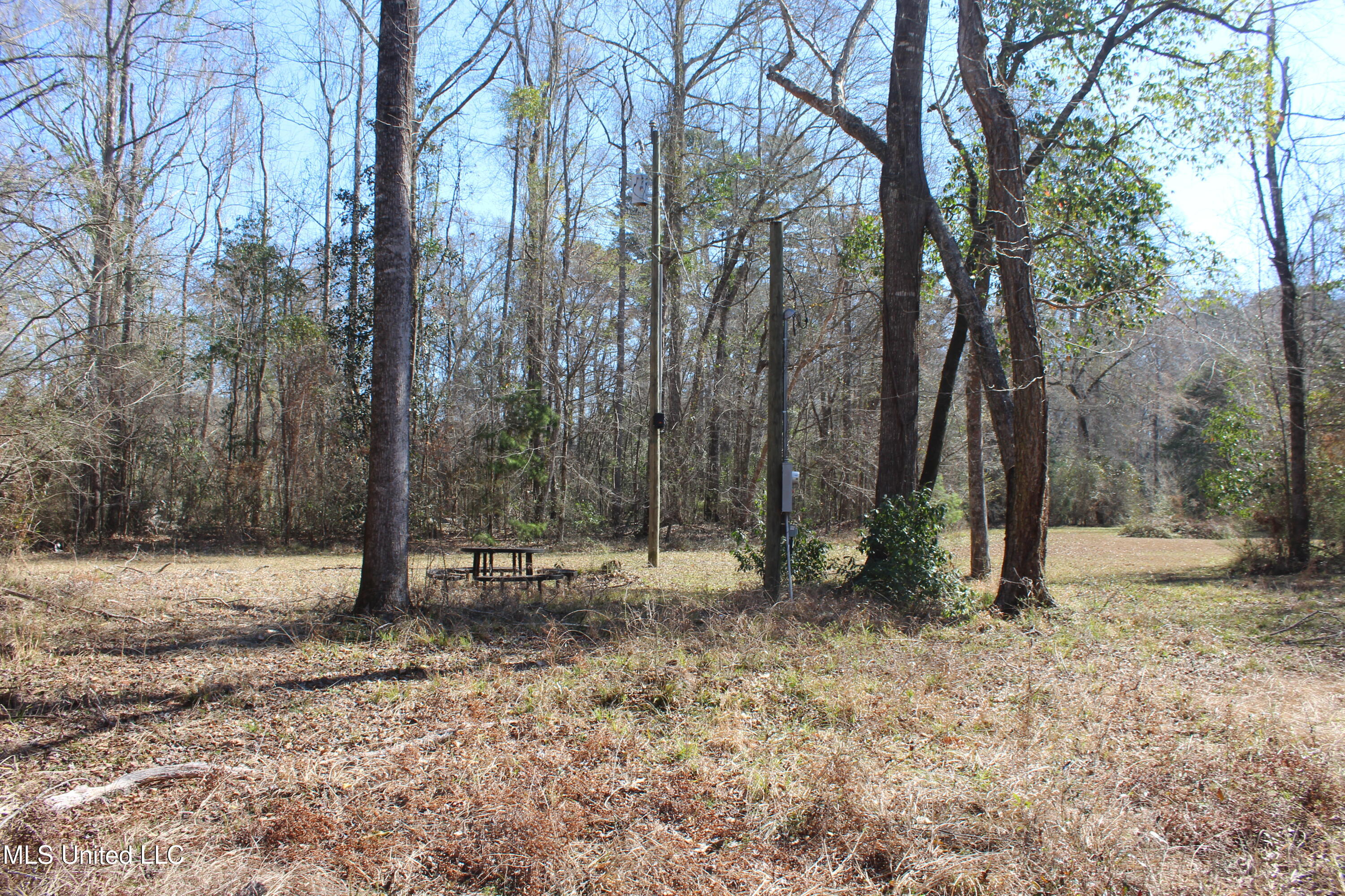 2194 Brandi Road Summit, MS 39666 - Photo 8 of 26 2194 Brandi Rd Summit (6)