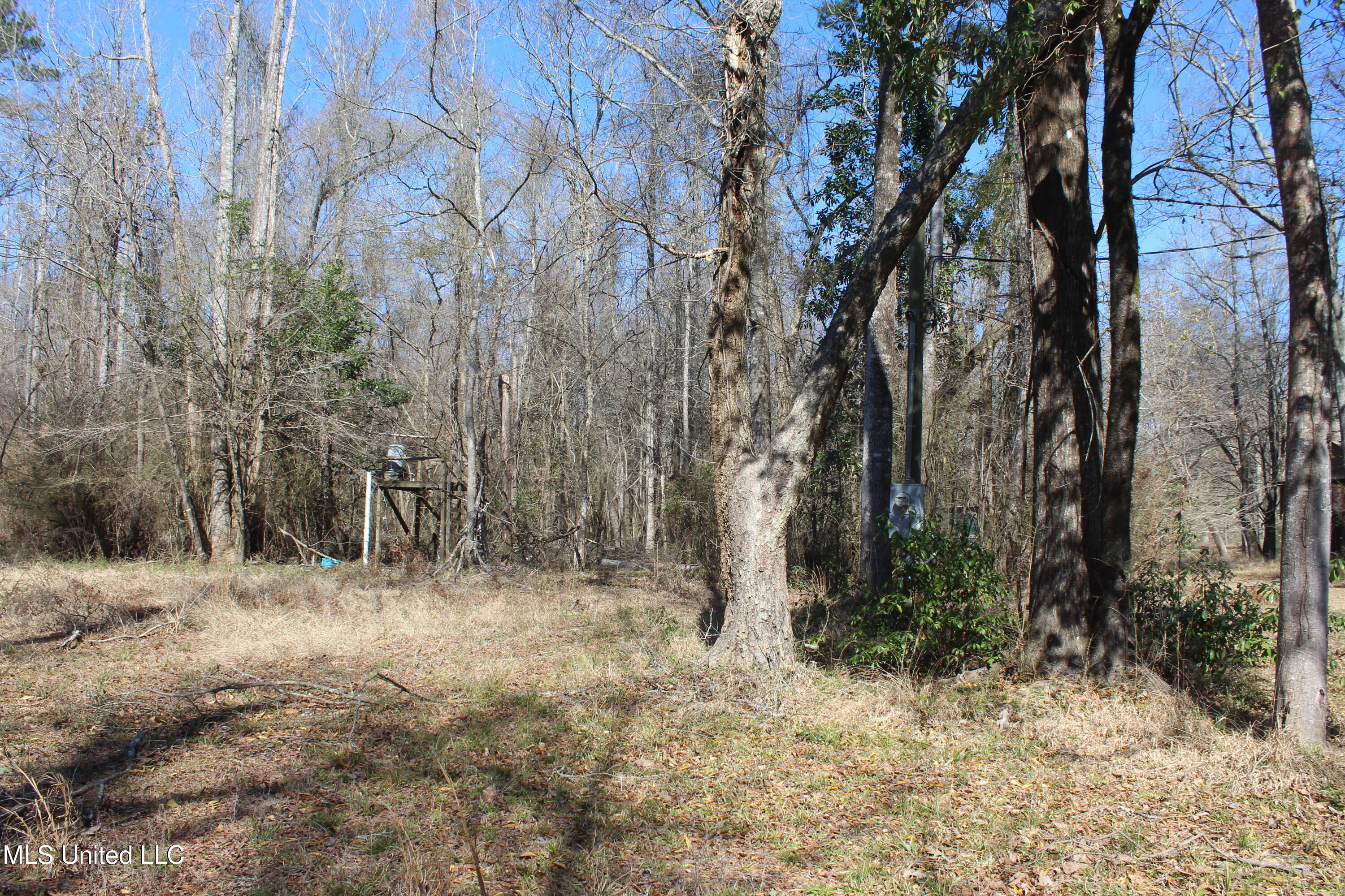 2194 Brandi Road Summit, MS 39666 - Photo 10 of 26 2194 Brandi Rd Summit (8)