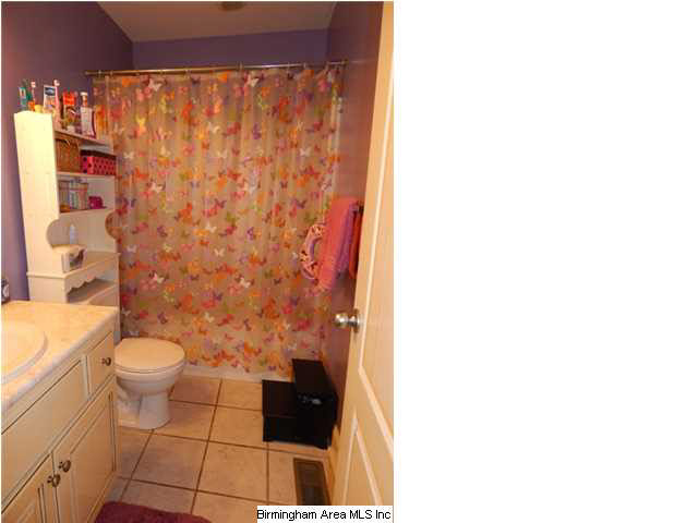 393 Indian Hills Road Hayden, AL 35079 - Photo 12 of 19