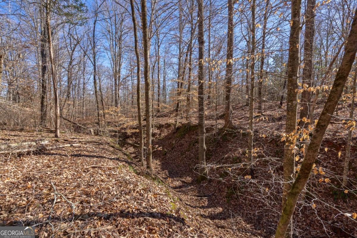 626 Ruffs Road Carlton, GA 30627 - Photo 11 of 83