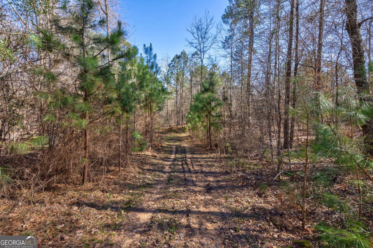 626 Ruffs Road Carlton, GA 30627 - Photo 12 of 83