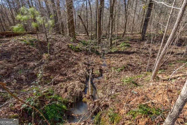 $878,500 | 626 Ruffs Road, Carlton, GA 30627