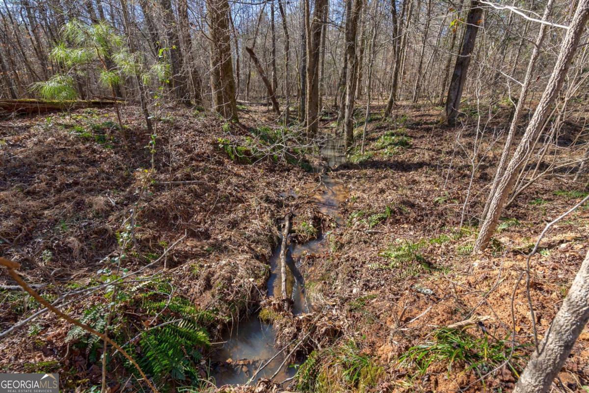 626 Ruffs Road Carlton, GA 30627 - Photo 13 of 83