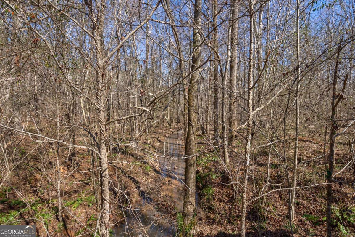 626 Ruffs Road Carlton, GA 30627 - Photo 14 of 83