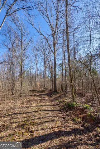 $878,500 | 626 Ruffs Road, Carlton, GA 30627