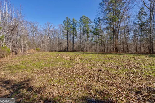 $878,500 | 626 Ruffs Road, Carlton, GA 30627