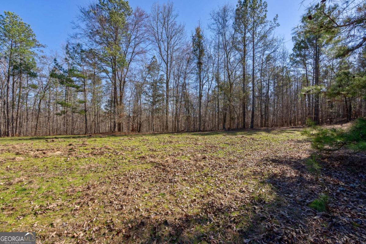 626 Ruffs Road Carlton, GA 30627 - Photo 17 of 83