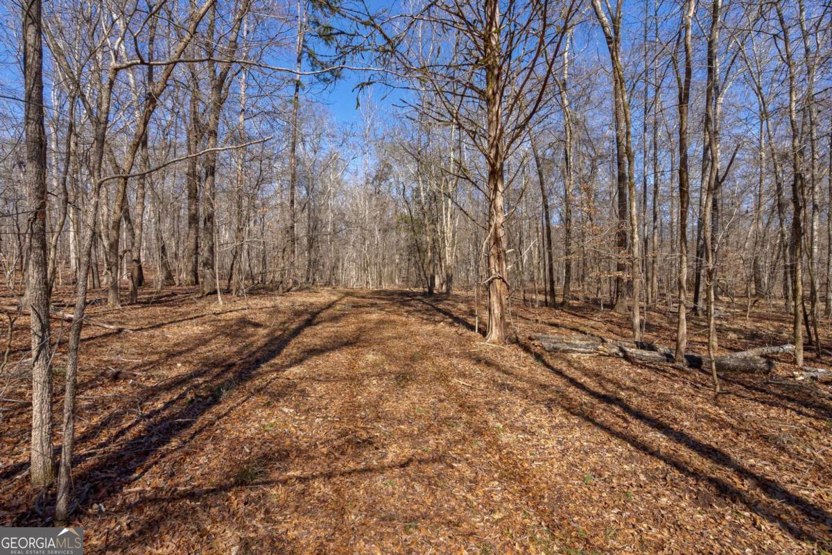 626 Ruffs Road Carlton, GA 30627 - Photo 18 of 83