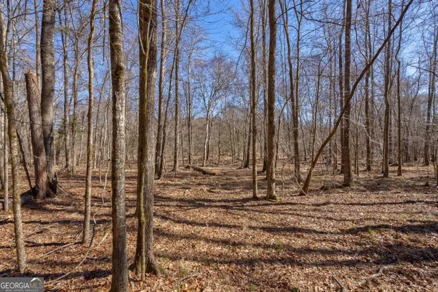 $878,500 | 626 Ruffs Road, Carlton, GA 30627