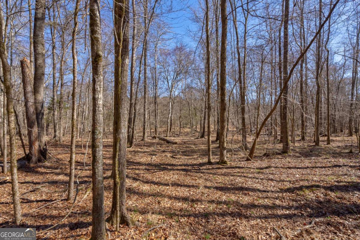 626 Ruffs Road Carlton, GA 30627 - Photo 19 of 83