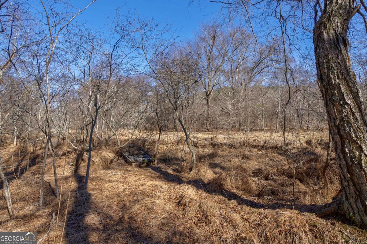 626 Ruffs Road Carlton, GA 30627 - Photo 20 of 83