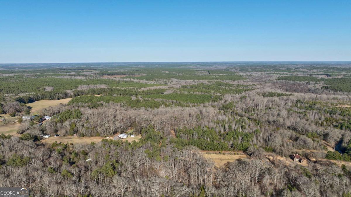 626 Ruffs Road Carlton, GA 30627 - Photo 2 of 83