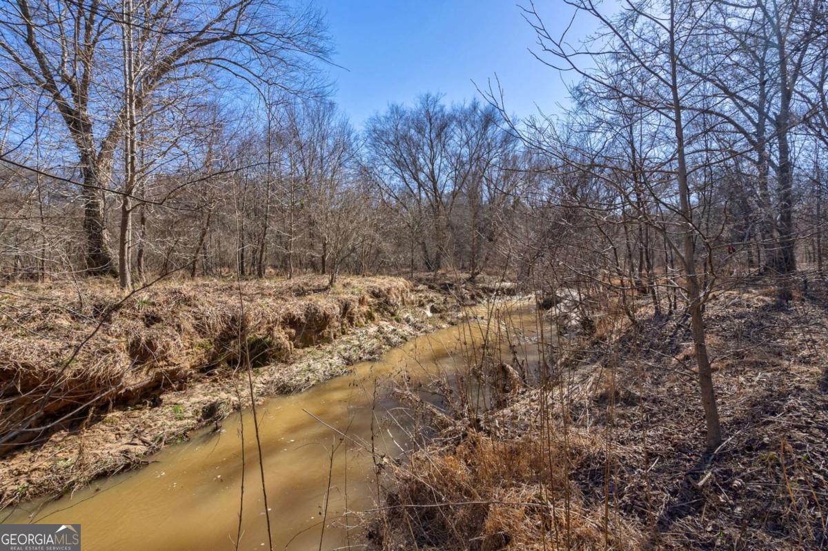 626 Ruffs Road Carlton, GA 30627 - Photo 21 of 83