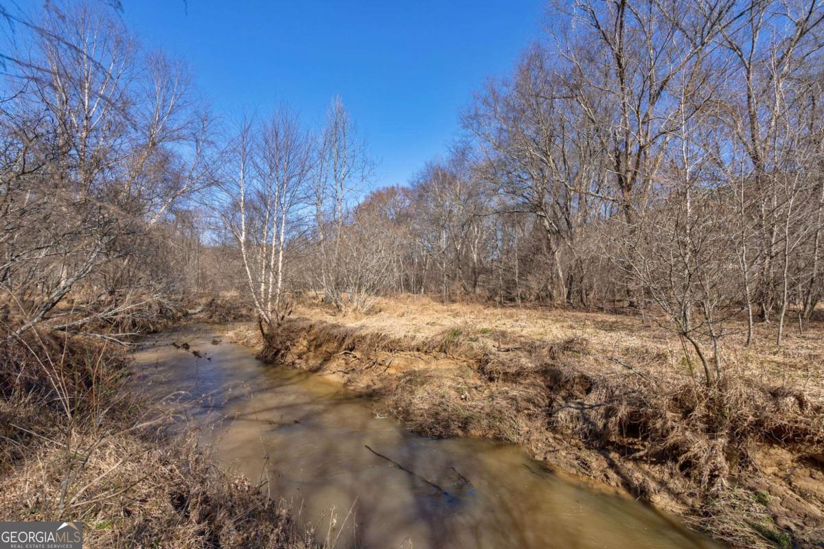 626 Ruffs Road Carlton, GA 30627 - Photo 22 of 83