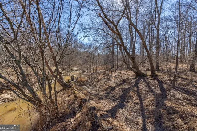 $878,500 | 626 Ruffs Road, Carlton, GA 30627