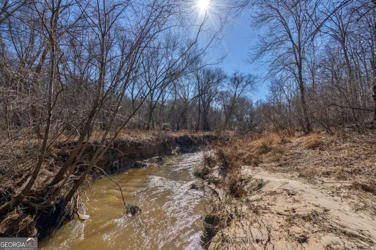 626 Ruffs Road Carlton, GA 30627 - Photo 26 of 83