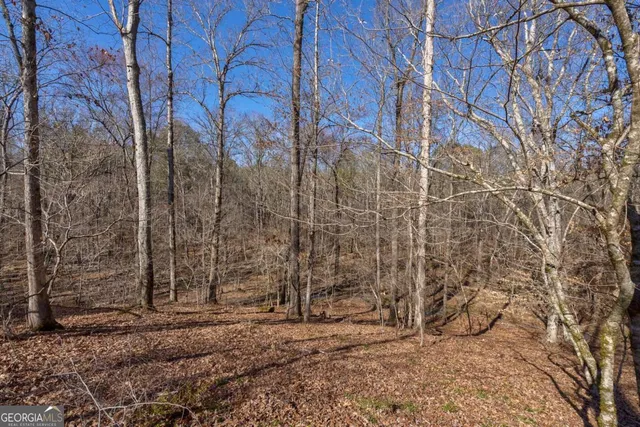 $878,500 | 626 Ruffs Road, Carlton, GA 30627