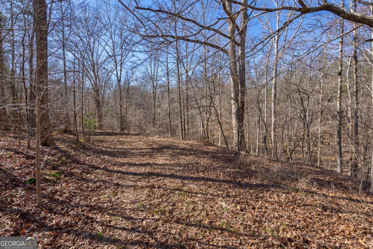 626 Ruffs Road Carlton, GA 30627 - Photo 29 of 83