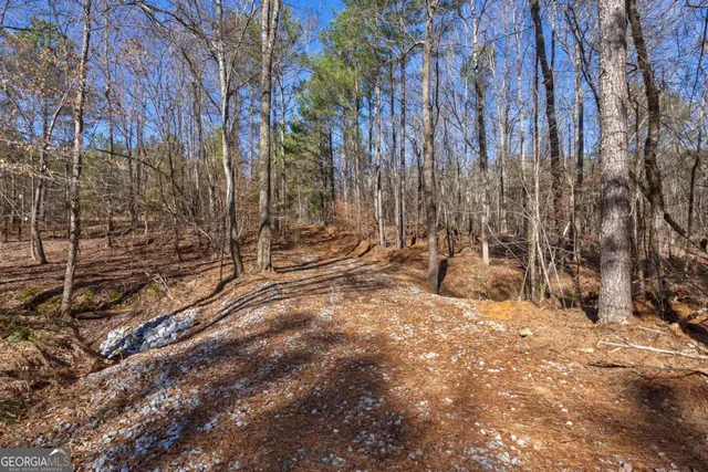 $878,500 | 626 Ruffs Road, Carlton, GA 30627