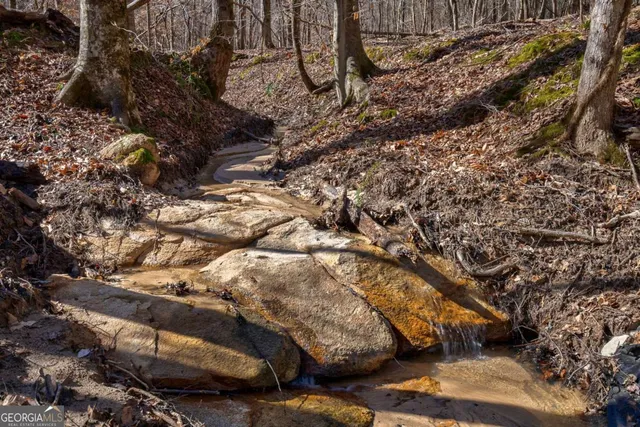 $878,500 | 626 Ruffs Road, Carlton, GA 30627