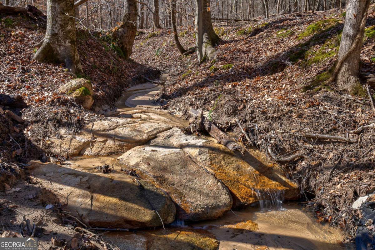 626 Ruffs Road Carlton, GA 30627 - Photo 31 of 83