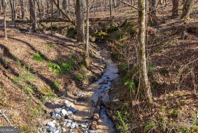 $878,500 | 626 Ruffs Road, Carlton, GA 30627