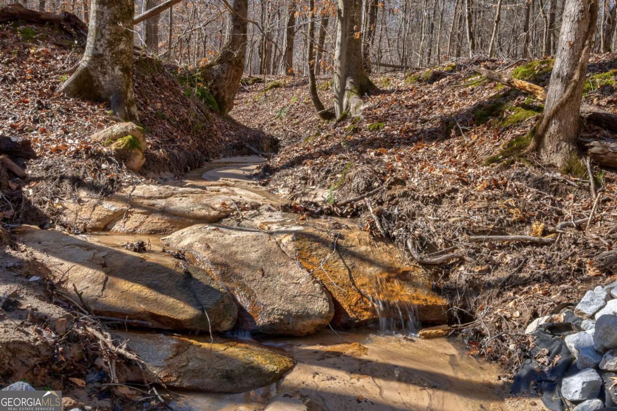 626 Ruffs Road Carlton, GA 30627 - Photo 33 of 83