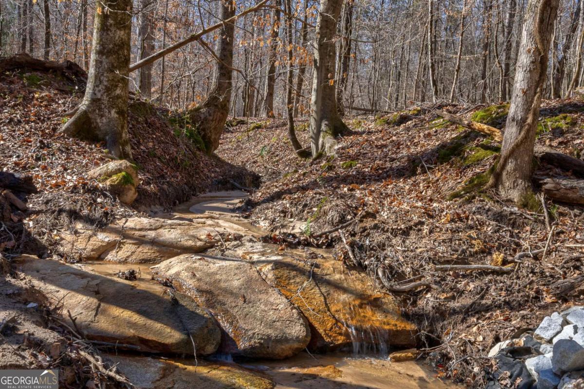 626 Ruffs Road Carlton, GA 30627 - Photo 34 of 83