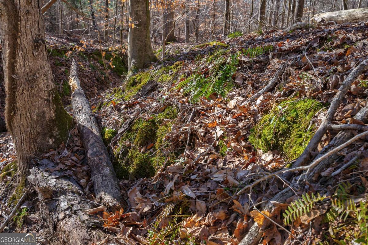 626 Ruffs Road Carlton, GA 30627 - Photo 35 of 83