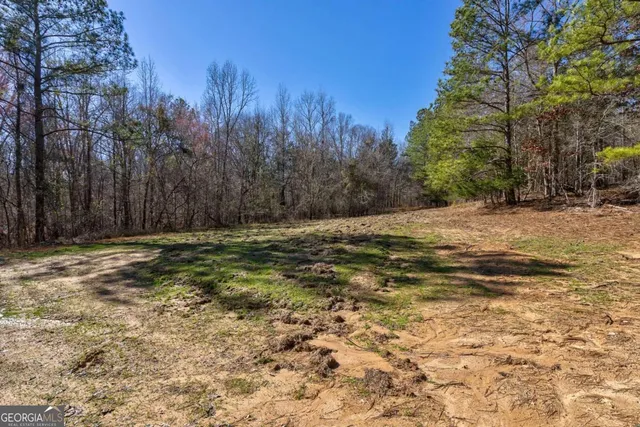 $878,500 | 626 Ruffs Road, Carlton, GA 30627