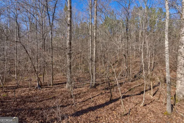 $878,500 | 626 Ruffs Road, Carlton, GA 30627