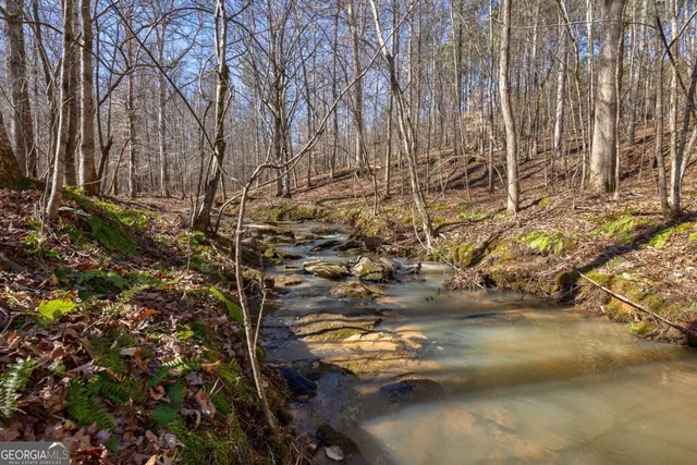 $878,500 | 626 Ruffs Road, Carlton, GA 30627