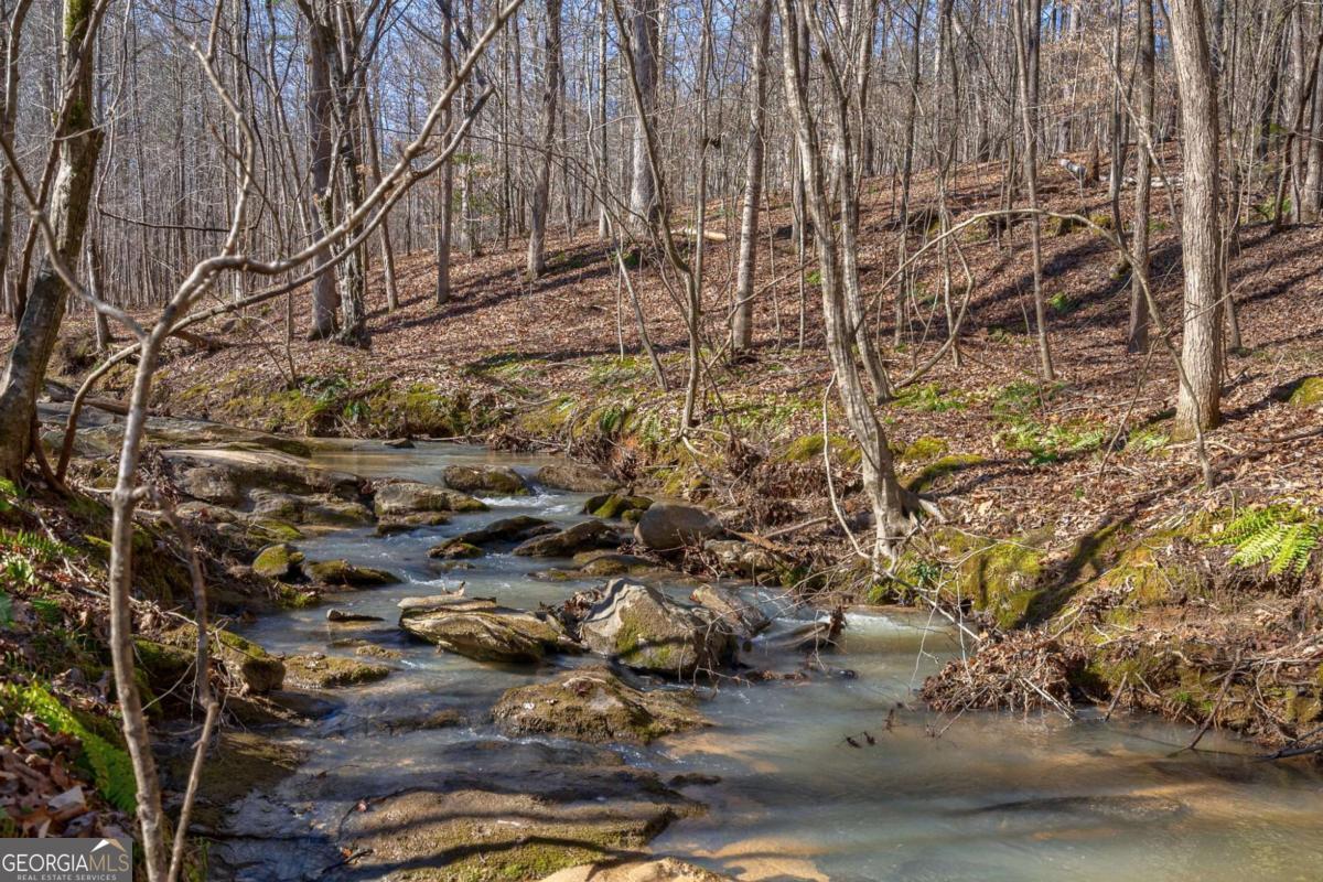 626 Ruffs Road Carlton, GA 30627 - Photo 39 of 83