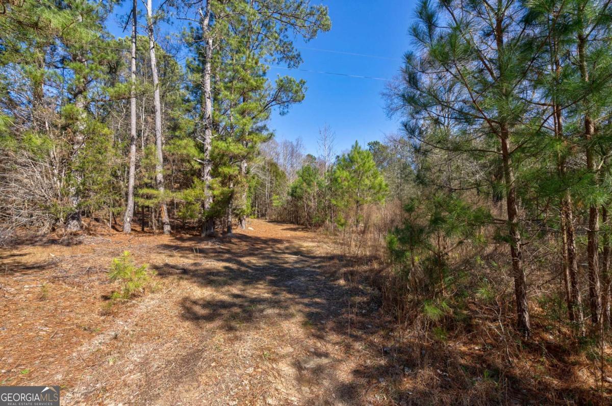 626 Ruffs Road Carlton, GA 30627 - Photo 4 of 83