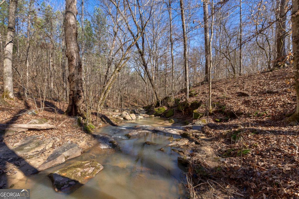 626 Ruffs Road Carlton, GA 30627 - Photo 41 of 83