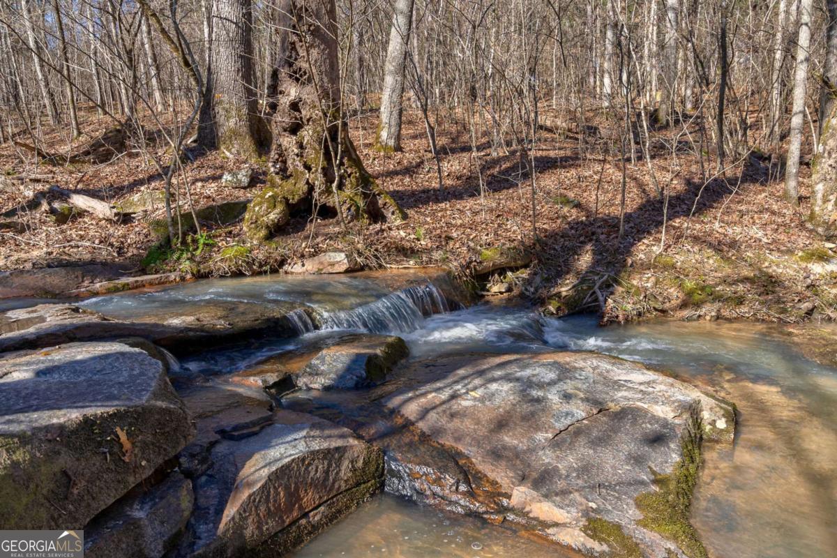 626 Ruffs Road Carlton, GA 30627 - Photo 42 of 83