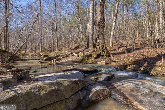 $878,500 | 626 Ruffs Road, Carlton, GA 30627