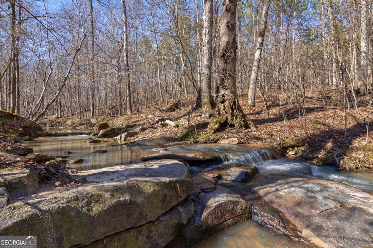 626 Ruffs Road Carlton, GA 30627 - Photo 44 of 83